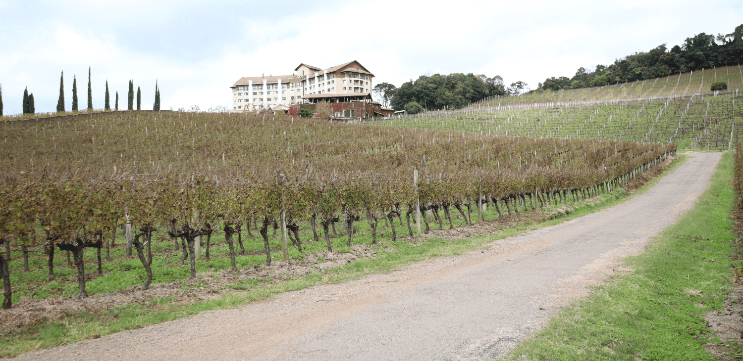 Passeio de Trem, visita a vinícolas na Serra Gaúcha