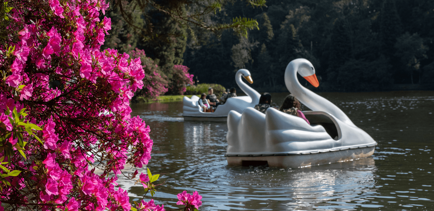 Hotelaria comemora ocupação na Serra